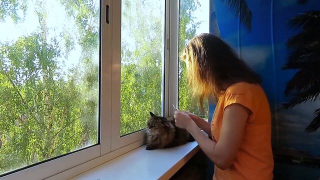 ЛАЙФХАК ДЛЯ КОШАТНИКОВ. Средство от блох, клещей, глистов