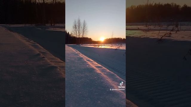 Зимний отдых.