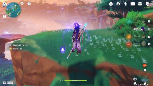 Xiao and Raiden Guide and Build  Genshin Impact