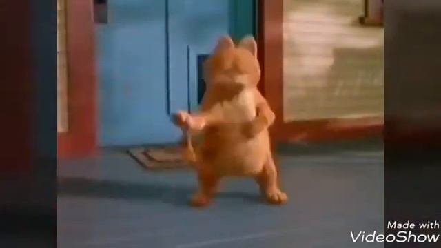 Мы с тобой очень похожи потому что любим одно и тоже меня!