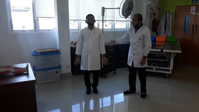 Praktikum Anatomi Umum sesi 1