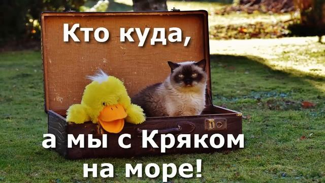 Смешные фото животных ч. 1