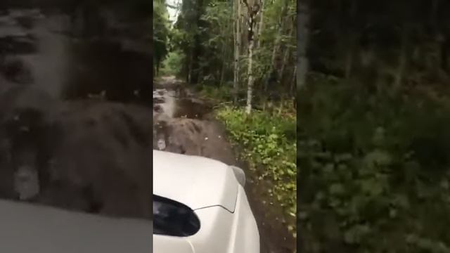 Дорога на родник Три Ивана в Карелии