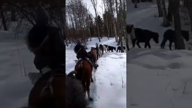 Маленькая часть жизни.mp4