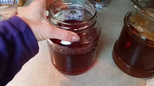 США ОТЧЕТ О МОИХ УСПЕХАХ-ВЫРАСТИЛА ЧАЙНЫЙ ГРИБ KOMBUCHA