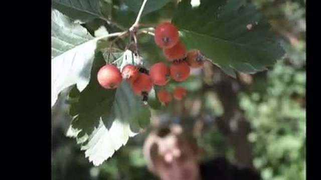 Семейная прогулка. Фотосессия
