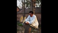 Мастер кунг фу «пoвеcился» на дереве
