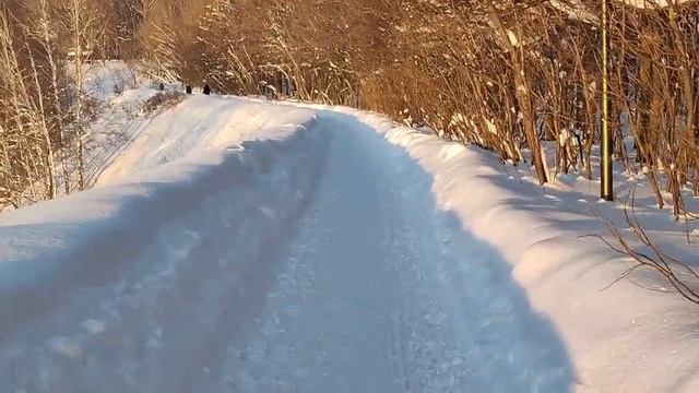 Зимняя прогулка по парку  _Швейцария_ в Нижним Новгороде