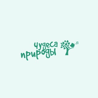 ЛЮБОЗНАТЕЛЬНЫЕ ЛЯГУШКИ