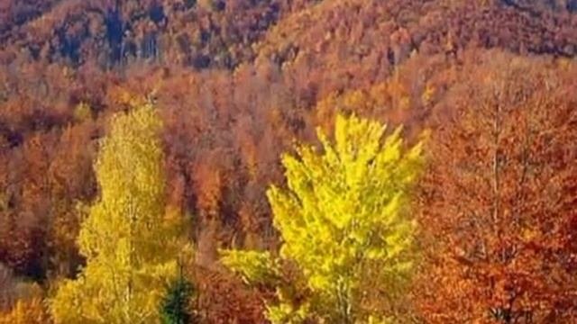 Вот и осень ( Асмолов)