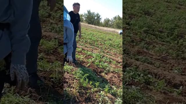 @gurlan9090=f47962.mp4