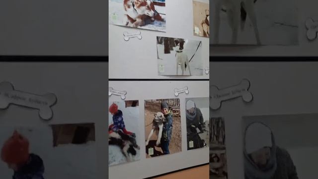 Фотовыставка "Забери друга"  ??