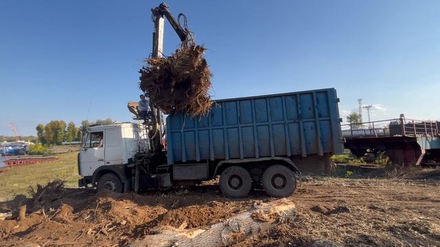 Ломовоз грузит пень массой 3,5 тонны