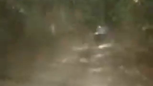 Шуман, третья соната