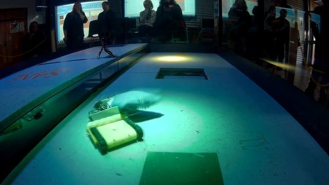 Combat Shark Robot Battle Report!! (ARC sept 2019)
