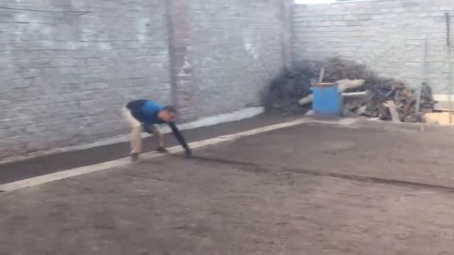 Озеленение алматы посев газона эконом вариант ч. 3
