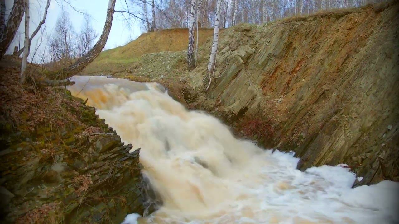 Природа май 2022  Апрелька  Маслиха