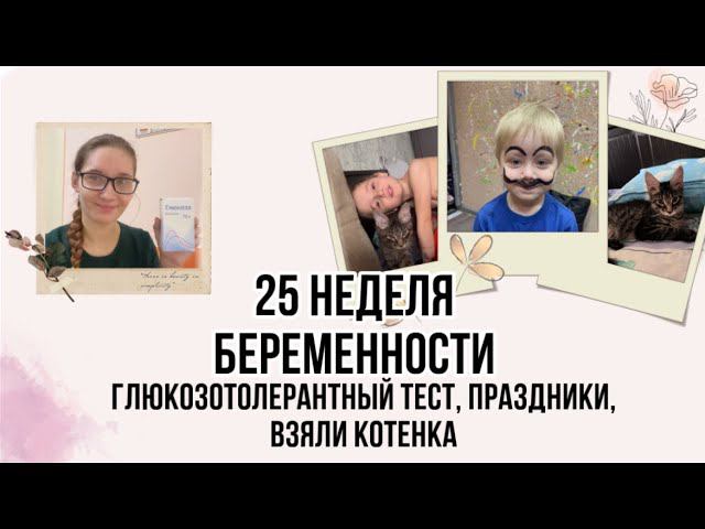 25 неделя беременности Тест на глюкозу, взяли еще котенка мейнкуна