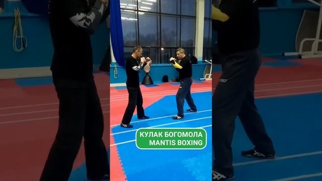 Стиль богомола. Две боевые комбинации - Mantis Boxing. 2 Combinations for Real Combat. 钢螳螂拳. Kung-F