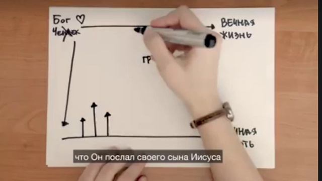 13 ноября 2023 г.