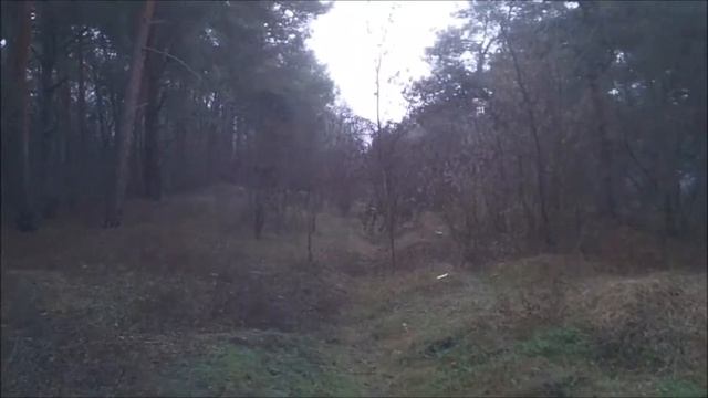 КОП В ЗИМНЕМ  ЛЕСУ