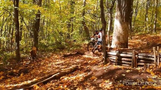 Чебоксары Берендеевский лес 2018