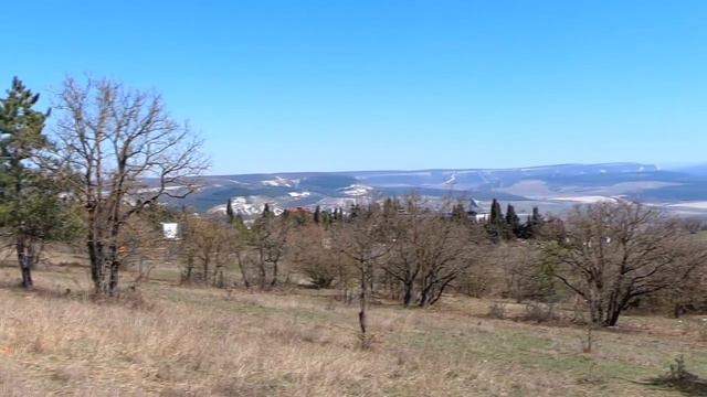 Весенний лес на Сапун-горе.