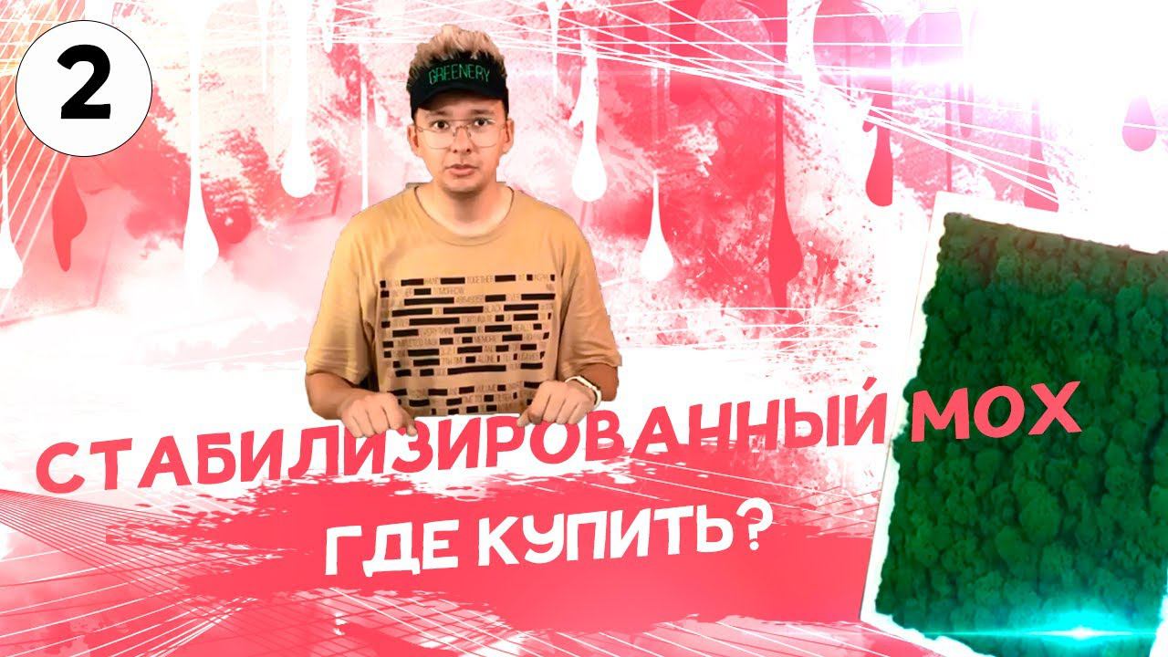 Стабилизированный мох - где купить и не ошибиться?