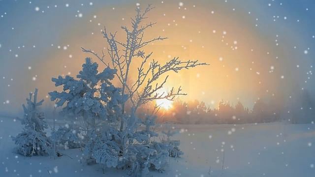 Доброй ночи и самых приятных снов!