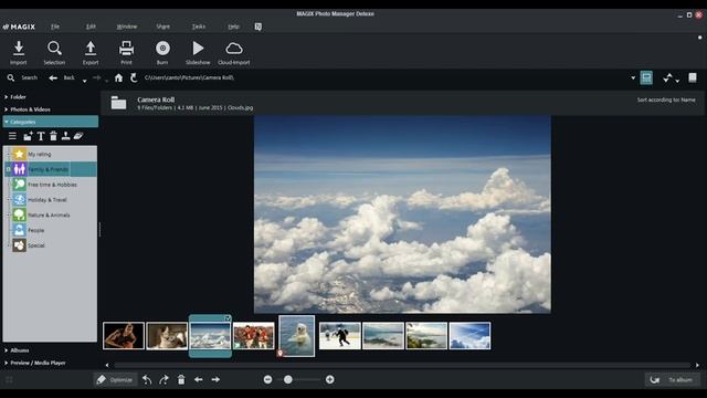 Top 7 favorite photo organizing software programs