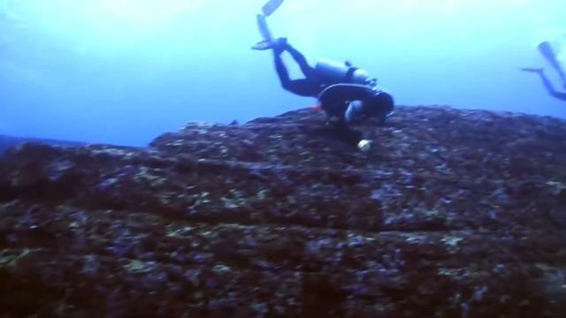 大獅，潛水，與那國，yonaguni monument