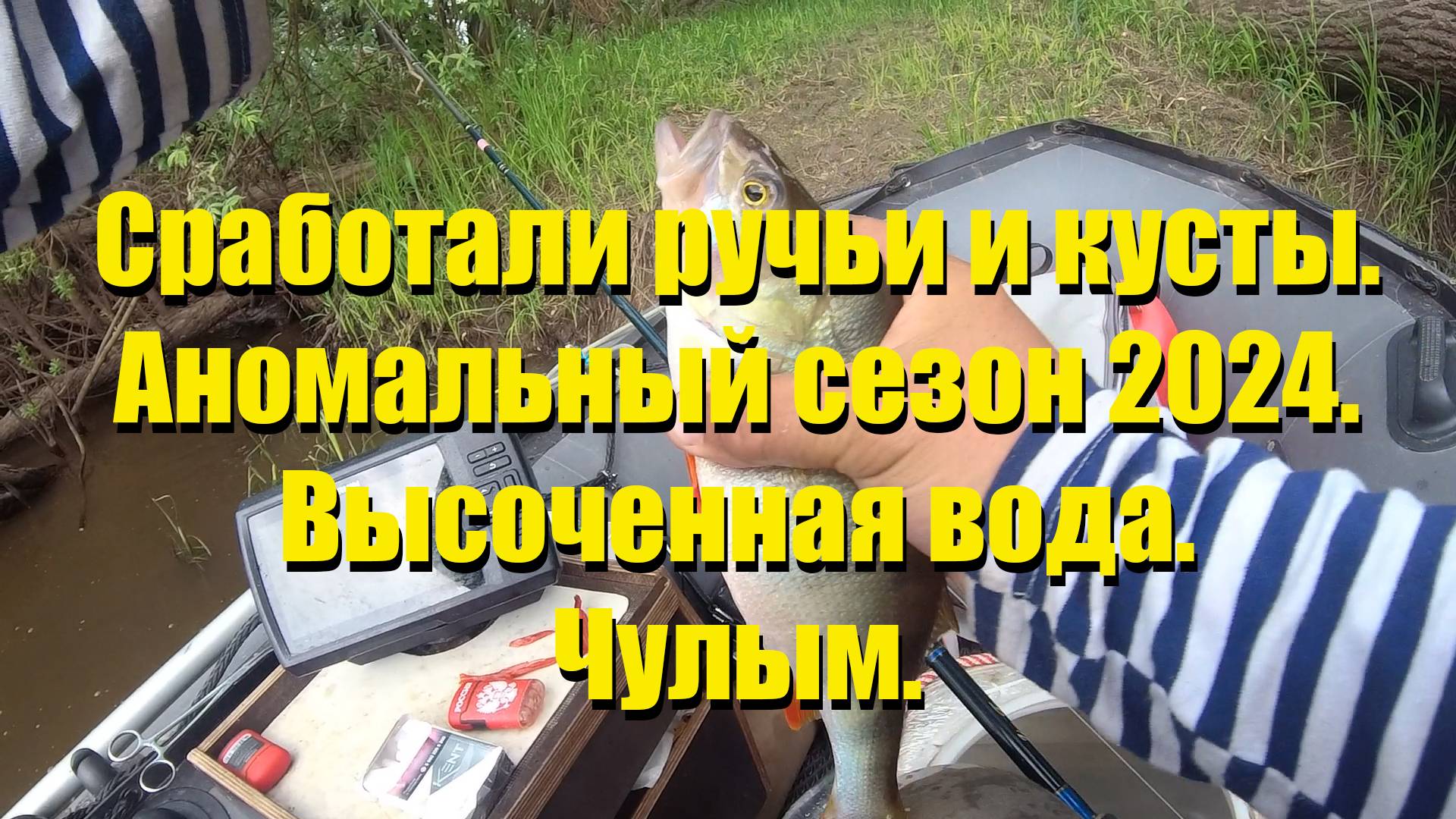 Сработали ручьи и кусты. Аномальный сезон 2024. Высоченная вода. Чулым.