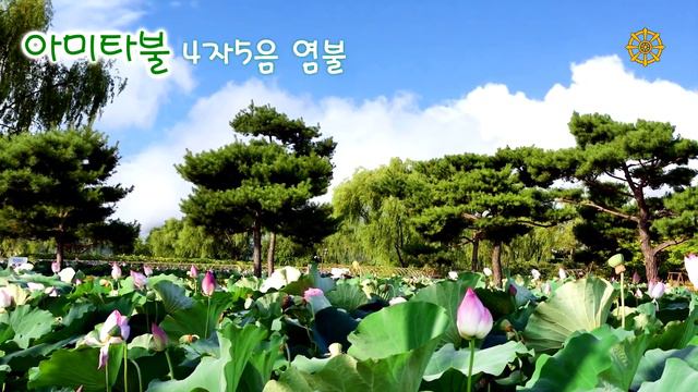 나무아미타불  명상음악 / "아미타불" 4자5음 염불, 음악판 / Namo Amitabha Chanting