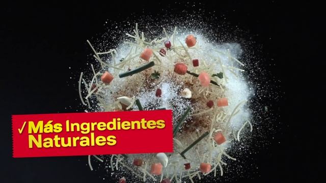 Sopa de Pollo con Fideos MAGGI®