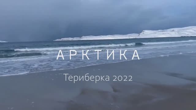 Арктика 2022
