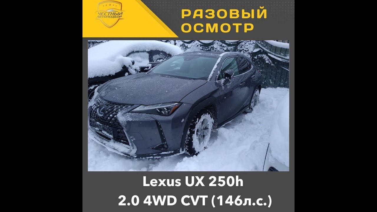 Разовый осмотр Lexus UX 250h