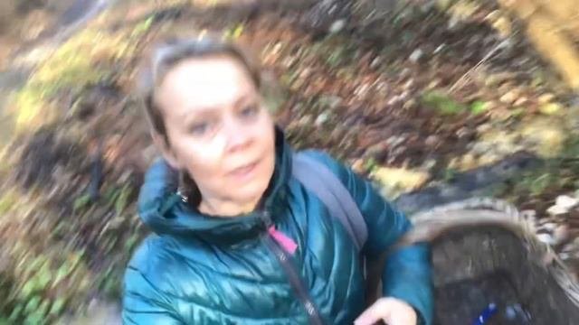#сербия НЕ ИСКЛЮЧЕНИЕ, НО ЧУТЬ БОЛЬШЕ СВОБОДЫ
