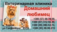 Ветеринарная клиника Харьков доступные цены Brillion Club
