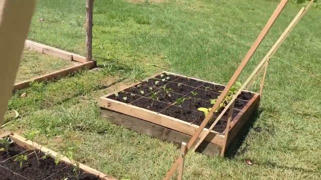 Cucumber and squash trellis (for under $10)
