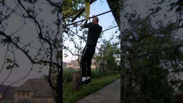 Biceps STRENGHT training day 65 Not a single curl was done #bodyweight #calisthenics #workout