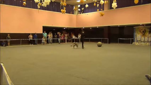 Хвостатый перепляс - 2016. Челябинск 18.06.2016