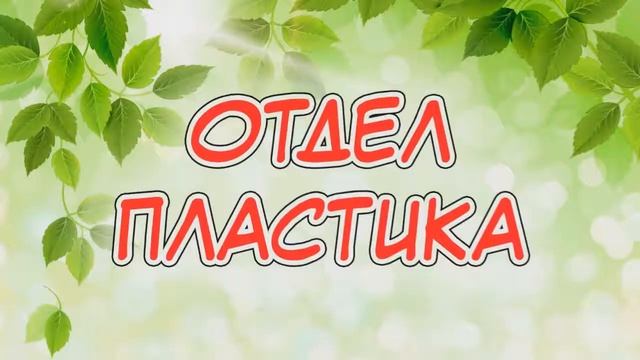 флора презентация