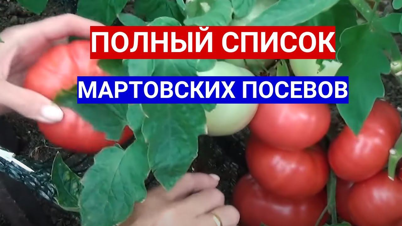 КАКОГО МАРТА СЕЯТЬ ТОМАТЫ - СОБЛЮДАЙТЕ ОЧЕРЕДЬ! ПОЛНЫЙ СПИСОК МАРТОВСКИХ ПОСЕВОВ СЕМЯН НА РАССАДУ