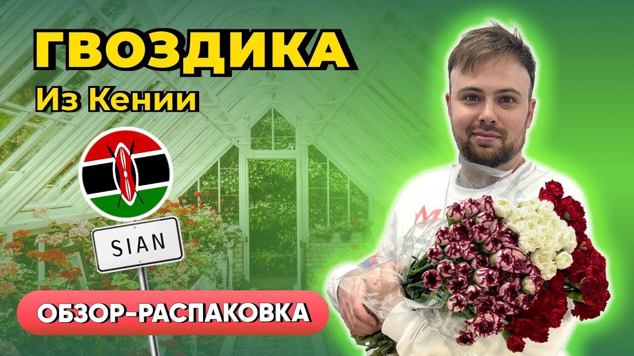 ОБЗОР-РАСПАКОВКА: гвоздика от плантации SIAN, Кения