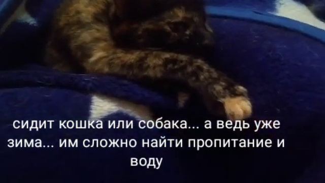 СОЦИАЛЬНЫЙ РОЛИК ТВОРИ ДОБРО ~ ведь это так просто, не проходи мимо докажи что в мире ещё есть добр