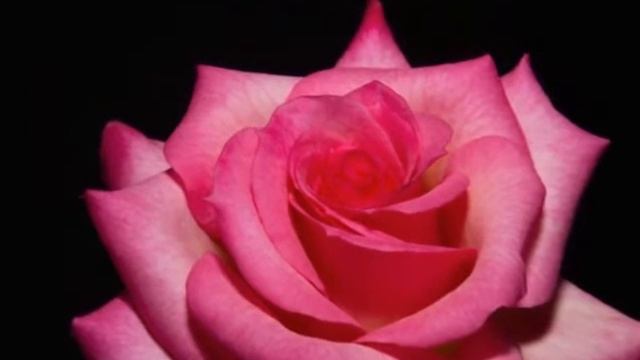 Aytekin G. Ataş - Var Git Ölüm ! (Karacaoğlan)