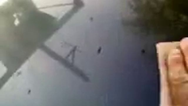 Удалить следы тополиных почек