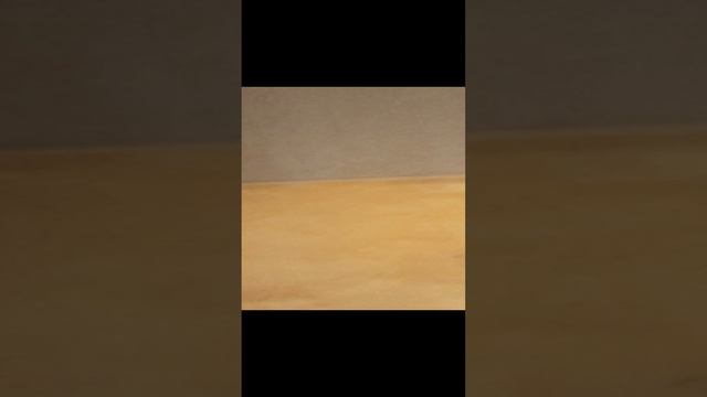 VID_20240824_230539.mp4