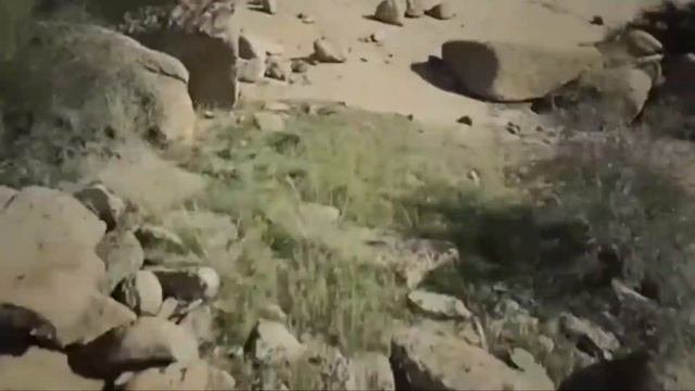 С ДНЁМ РОЖДЕНИЯ! Көзімнің ќарасы,
