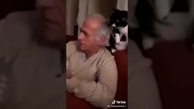 Приколы до слез. Домашние животные. смех до слез. 98 часть